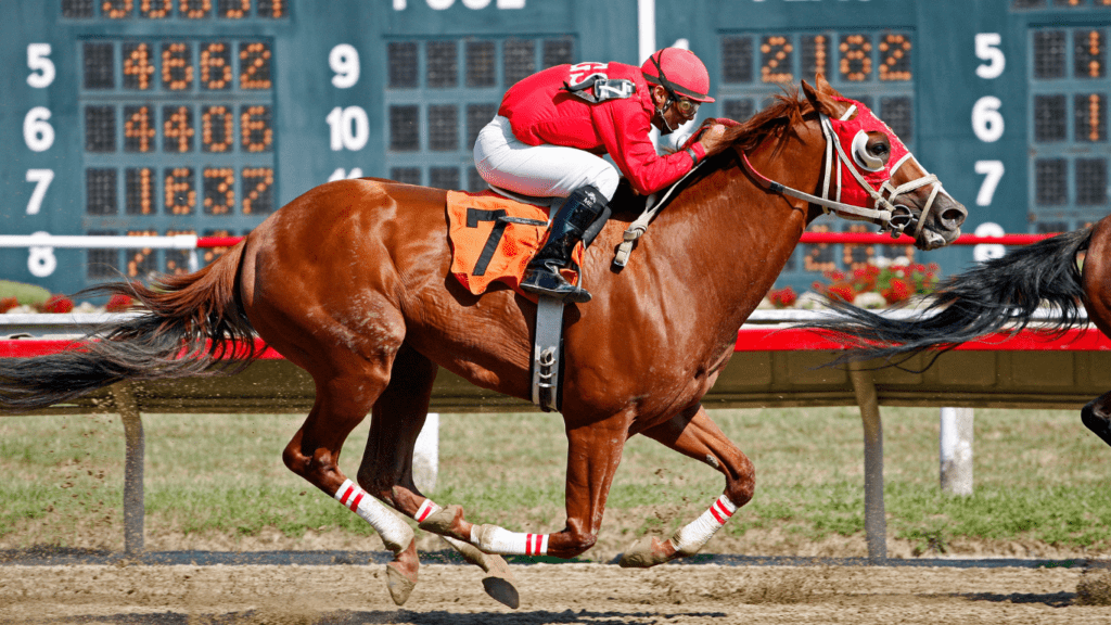 Factors Influencing Odds in Horse Racing