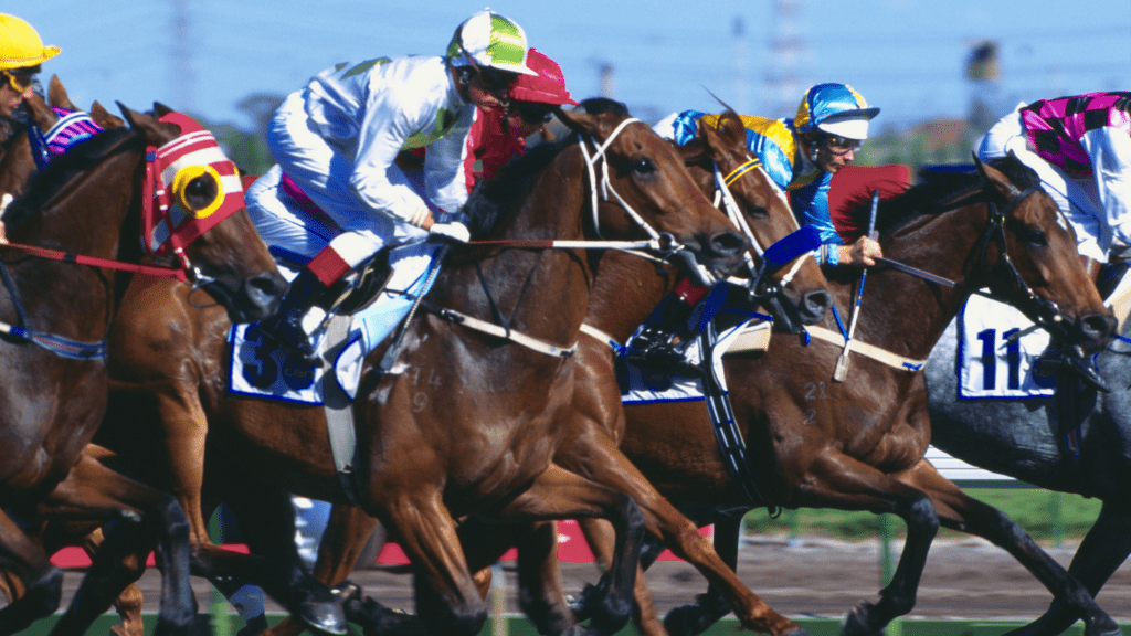 Mastering Racing Forms Key Insights for Smarter Bets and Winning Strategies