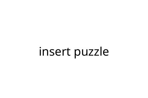 insert puzzle