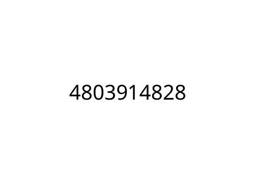 4803914828
