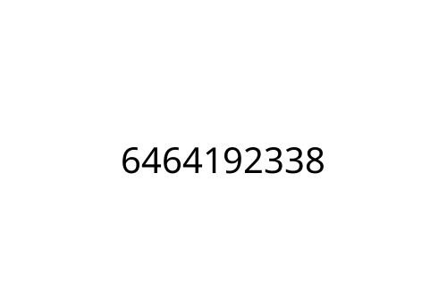 6464192338