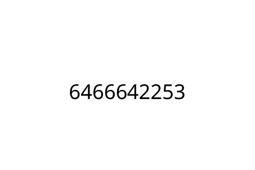 6466642253