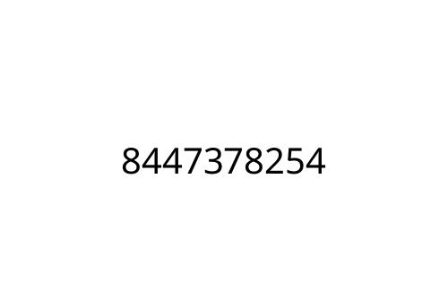 8447378254