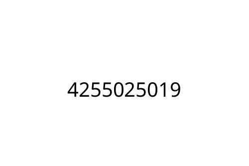 4255025019