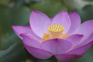 boy haircuts short on sides longer on top