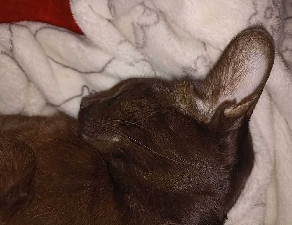 what is 8tshare6a python code