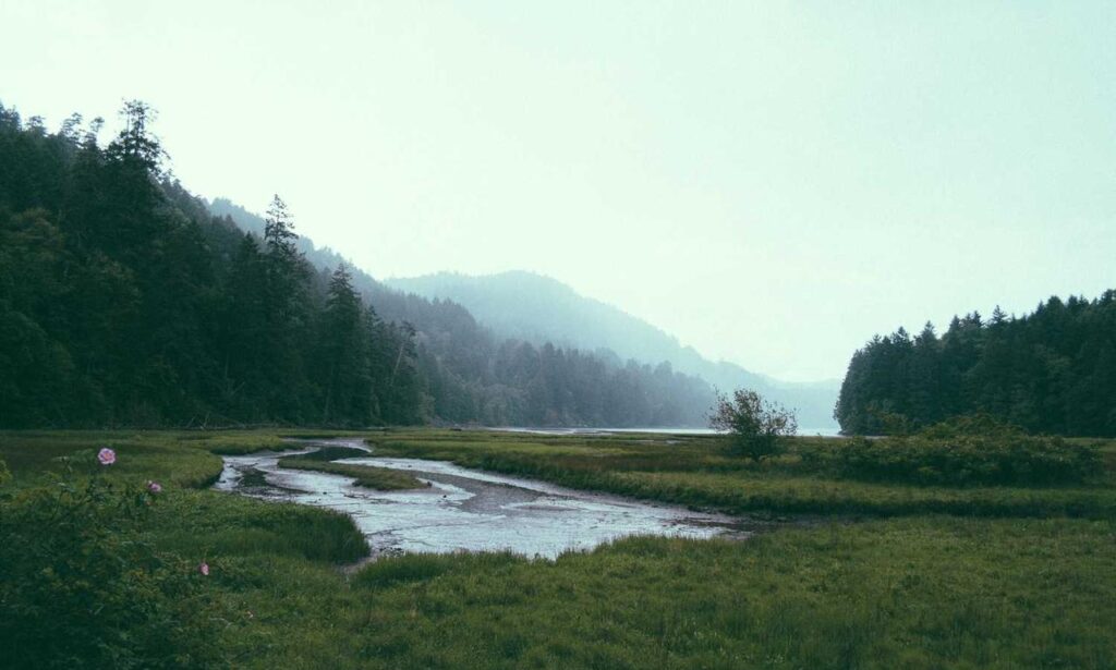 what noodles do you use for zavagouda