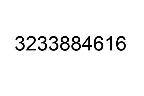 3233884616