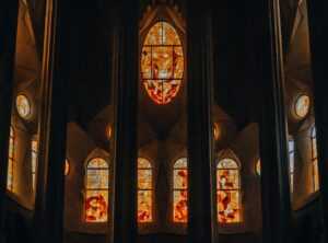 brazo tatuajes de pajaros familia