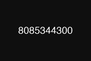 8085344300