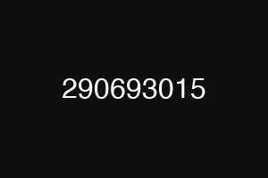 290693015