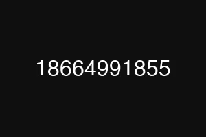 18664991855