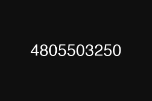 4805503250