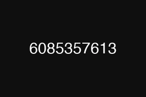 6085357613