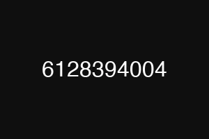 6128394004