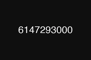 6147293000