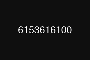 6153616100