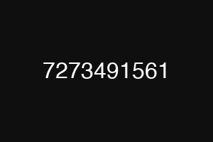 7273491561