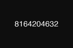 8164204632