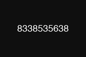 8338535638