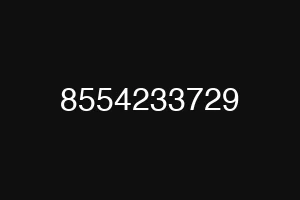 8554233729
