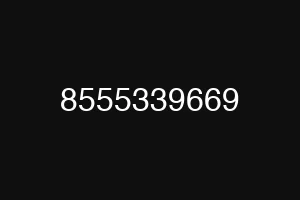 8555339669